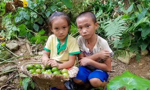 Chuyện cổ tích cho hai bé 'mồ côi' ở Ngòi A